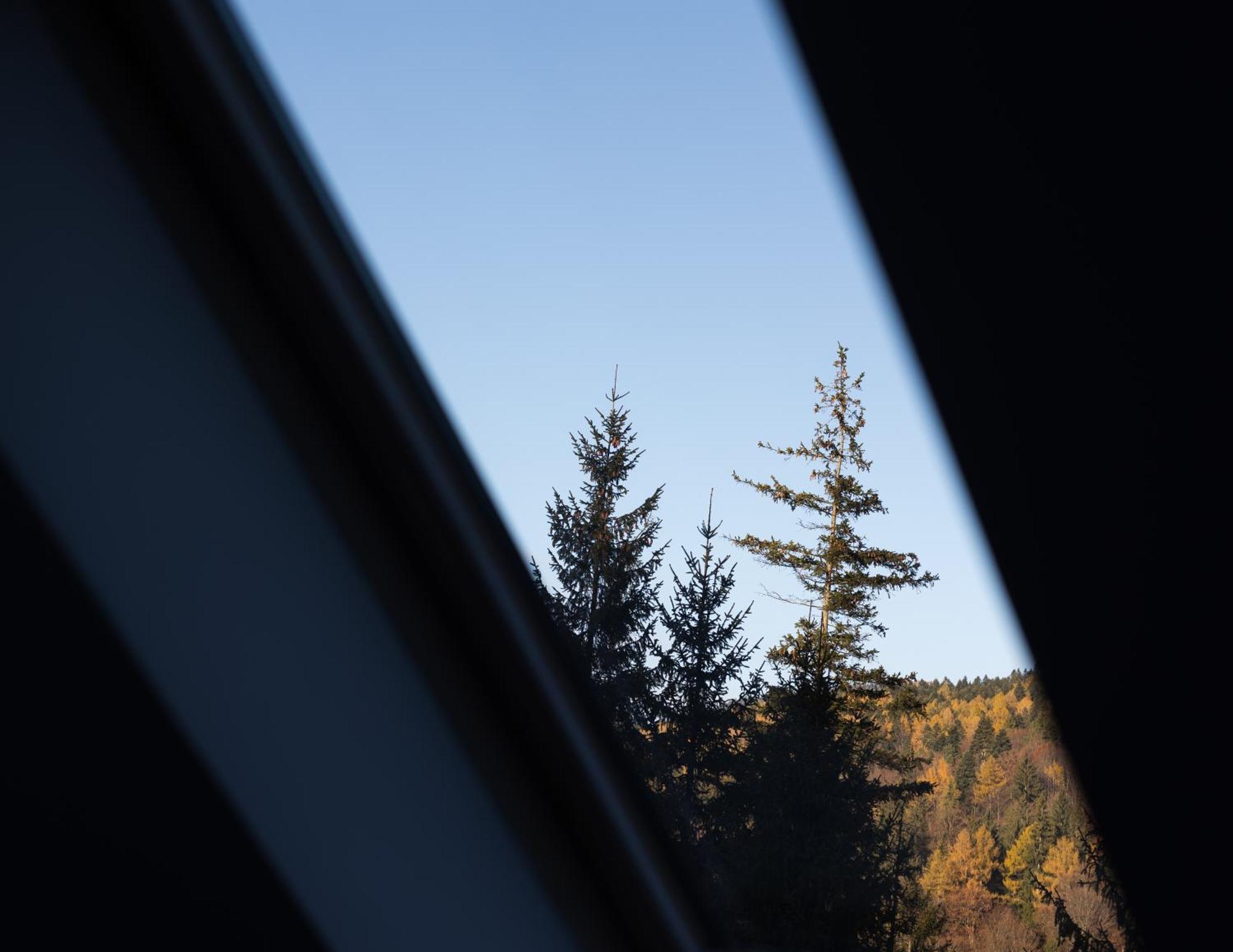 Apartmán Impala Sinaia - Springbok Exteriér fotografie